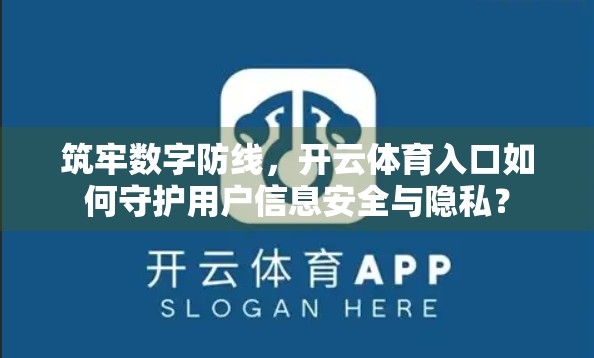 筑牢数字防线，开云体育入口如何守护用户信息安全与隐私？