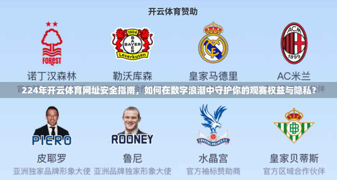 224年开云体育网址安全指南，如何在数字浪潮中守护你的观赛权益与隐私？
