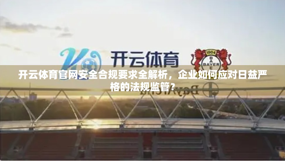 开云体育官网安全合规要求全解析，企业如何应对日益严格的法规监管？