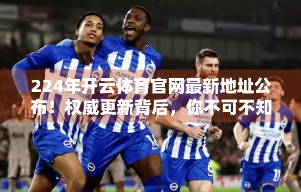 224年开云体育官网最新地址公布！权威更新背后，你不可不知的三大真相！