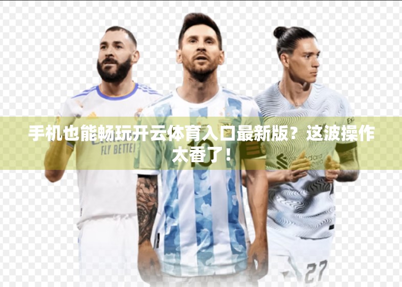手机也能畅玩开云体育入口最新版？这波操作太香了！