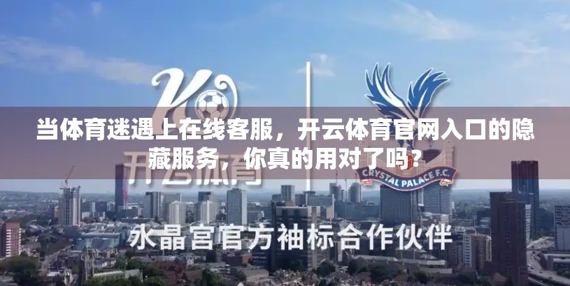 当体育迷遇上在线客服，开云体育官网入口的隐藏服务，你真的用对了吗？