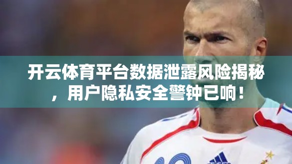 开云体育平台数据泄露风险揭秘，用户隐私安全警钟已响！