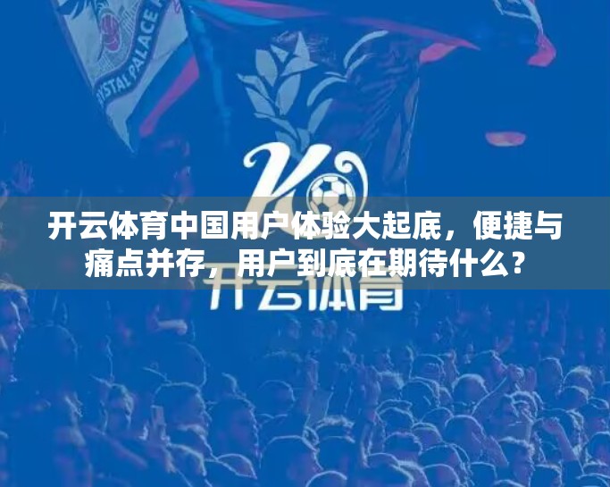 开云体育中国用户体验大起底，便捷与痛点并存，用户到底在期待什么？