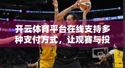 开云体育平台在线支持多种支付方式，让观赛与投注更便捷！