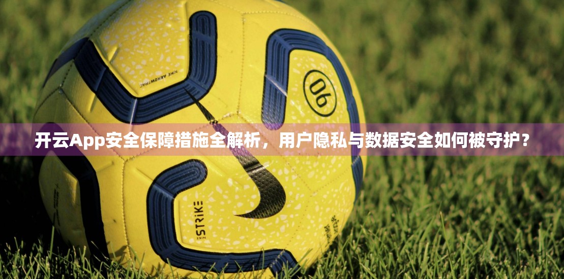 开云App安全保障措施全解析，用户隐私与数据安全如何被守护？