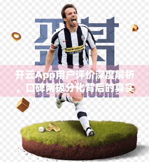 开云App用户评价深度解析，口碑两极分化背后的真实原因