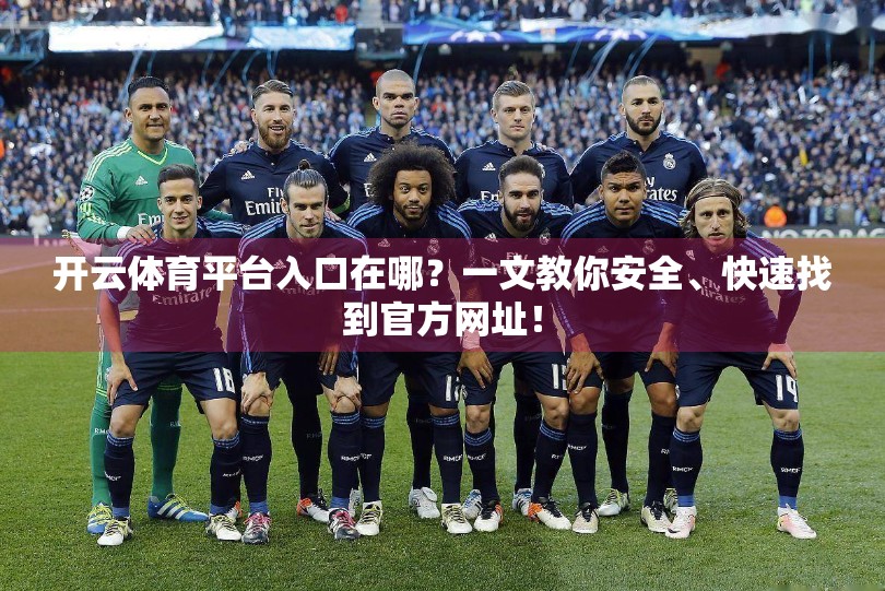 开云体育平台入口在哪？一文教你安全、快速找到官方网址！