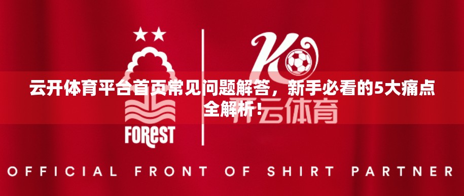 云开体育平台首页常见问题解答，新手必看的5大痛点全解析！
