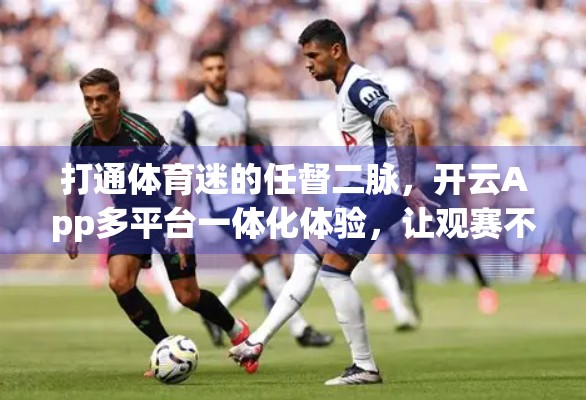 打通体育迷的任督二脉，开云App多平台一体化体验，让观赛不再断联