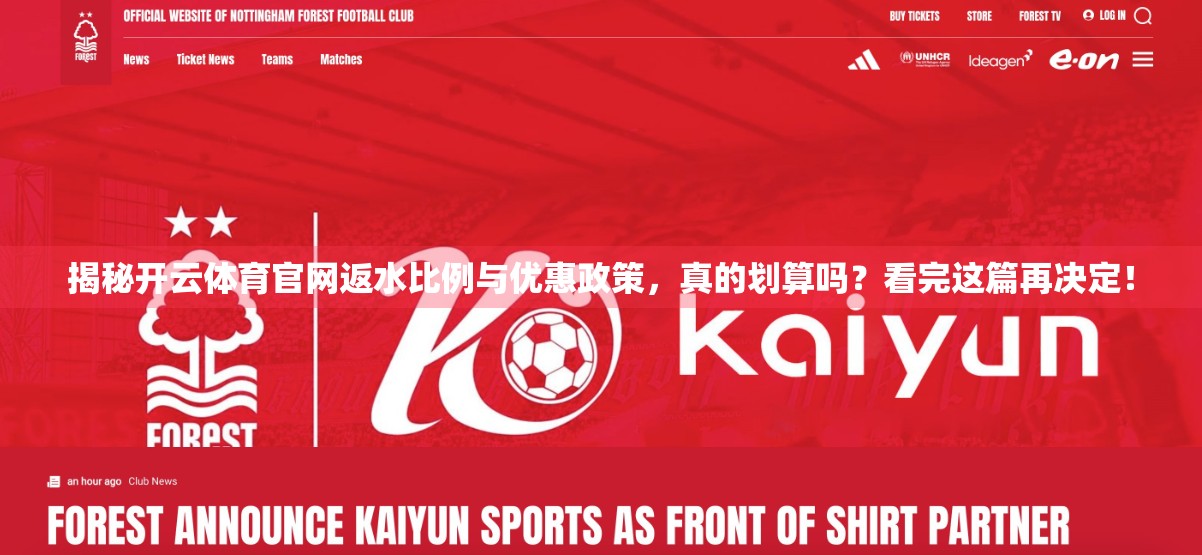 揭秘开云体育官网返水比例与优惠政策，真的划算吗？看完这篇再决定！