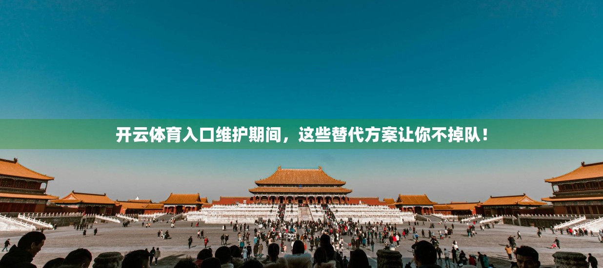 开云体育入口维护期间，这些替代方案让你不掉队！