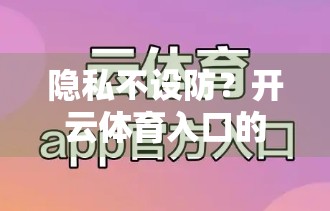 隐私不设防？开云体育入口的用户数据安全到底靠不靠谱？